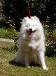 bella 10.06.2001.